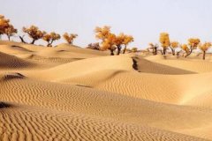 <font color='#FF0000'>中国八大沙漠排名 腾格里沙漠上榜，第一面积达33万平方公里</font>